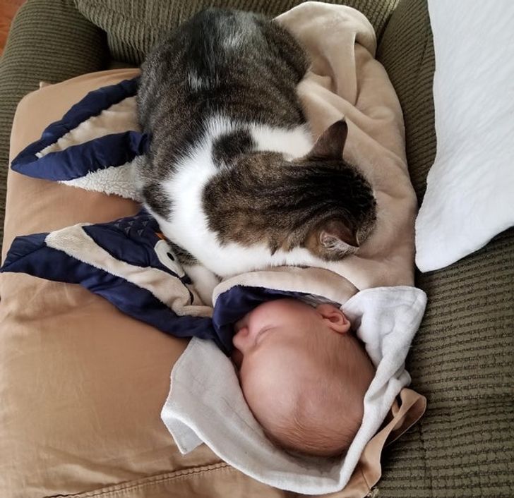 951038542e9b5c802afac10df3