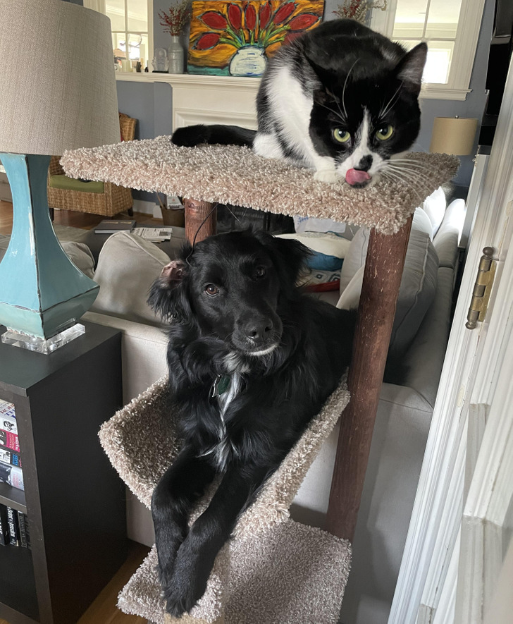 95120056b292fcf78c6ddd1bdf