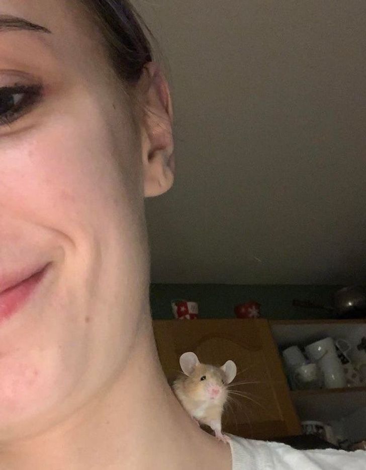 9513515363ac58da14f4310521