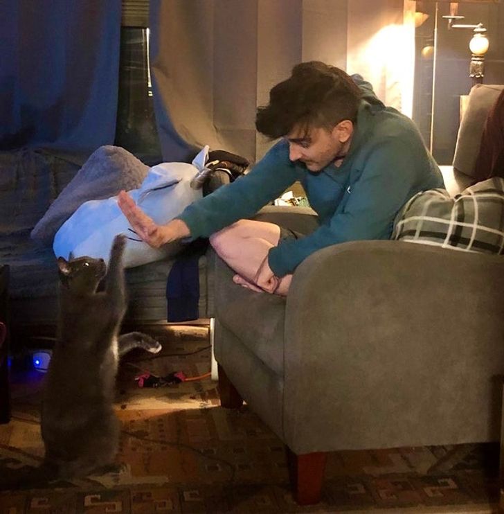 9518be52baaf4307d62d2207db