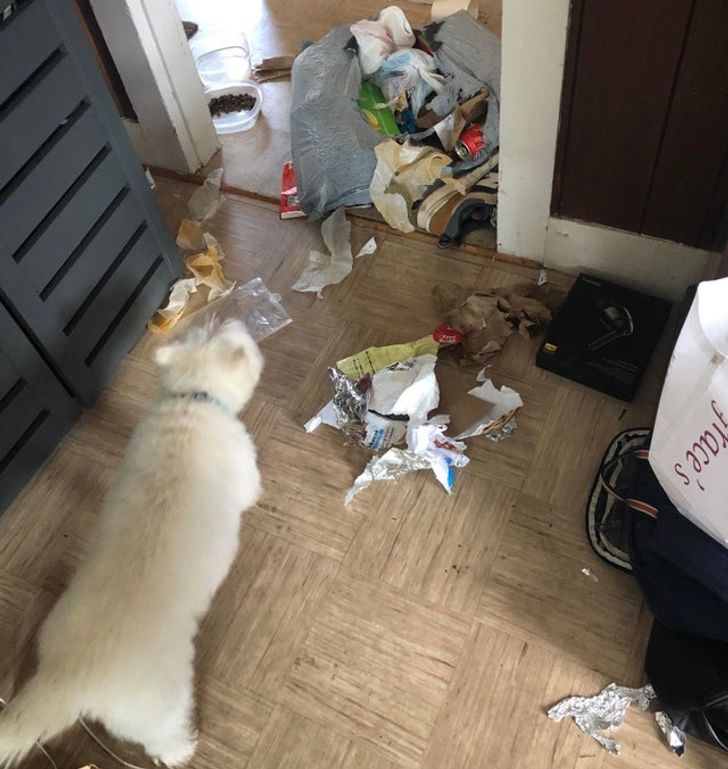 951ca25239af8a9e4859ac4182