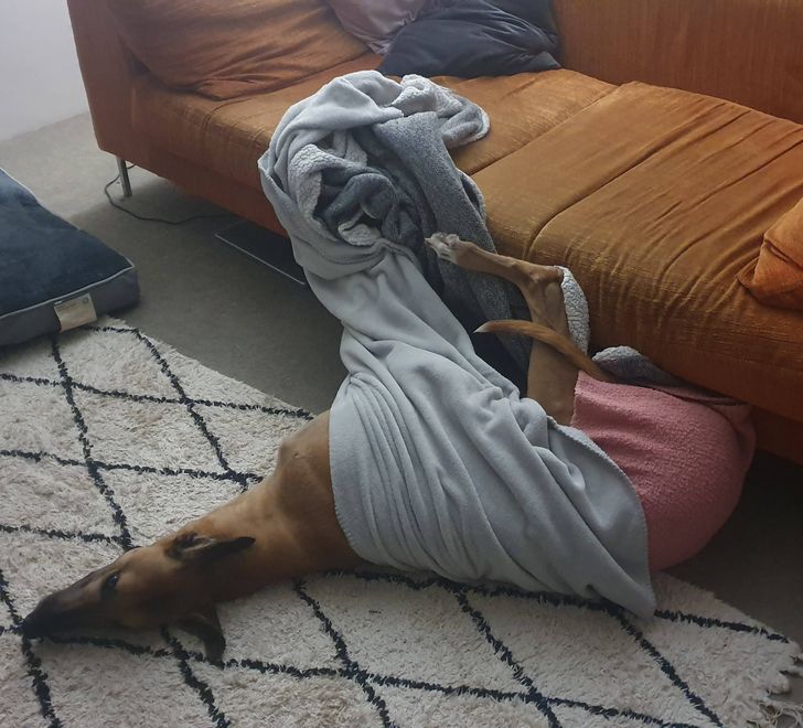 951e405a8ba66db7cdf61f1a31