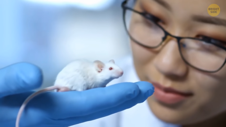 9522ca5cbd850ff6a4352ac723