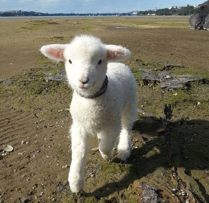 9523595147a8d2aa04eb93d68b