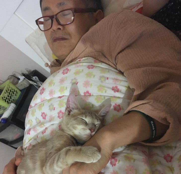 952468551db2ff90ed48844322