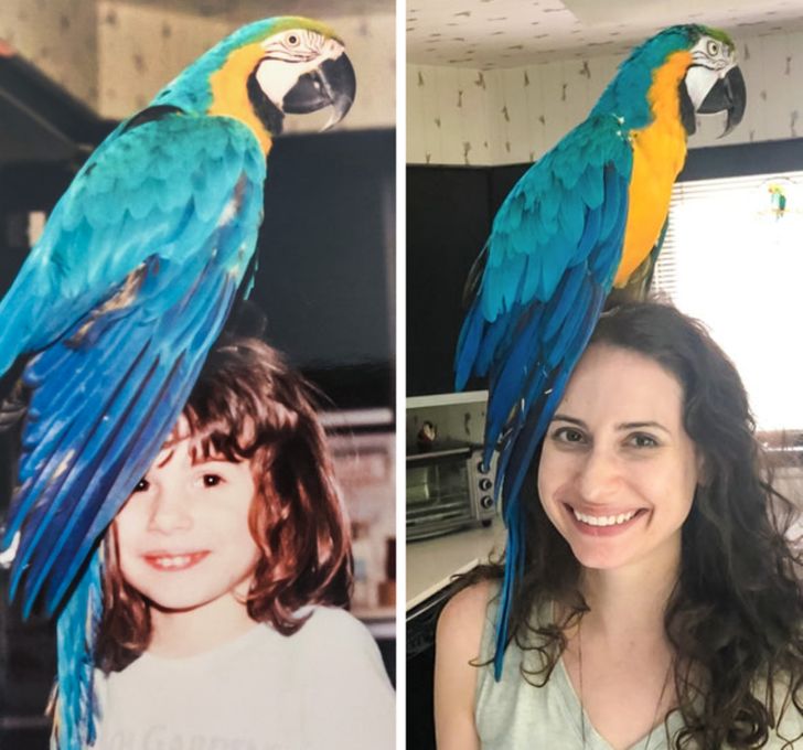 952eee50cd841252a561f3c0a8