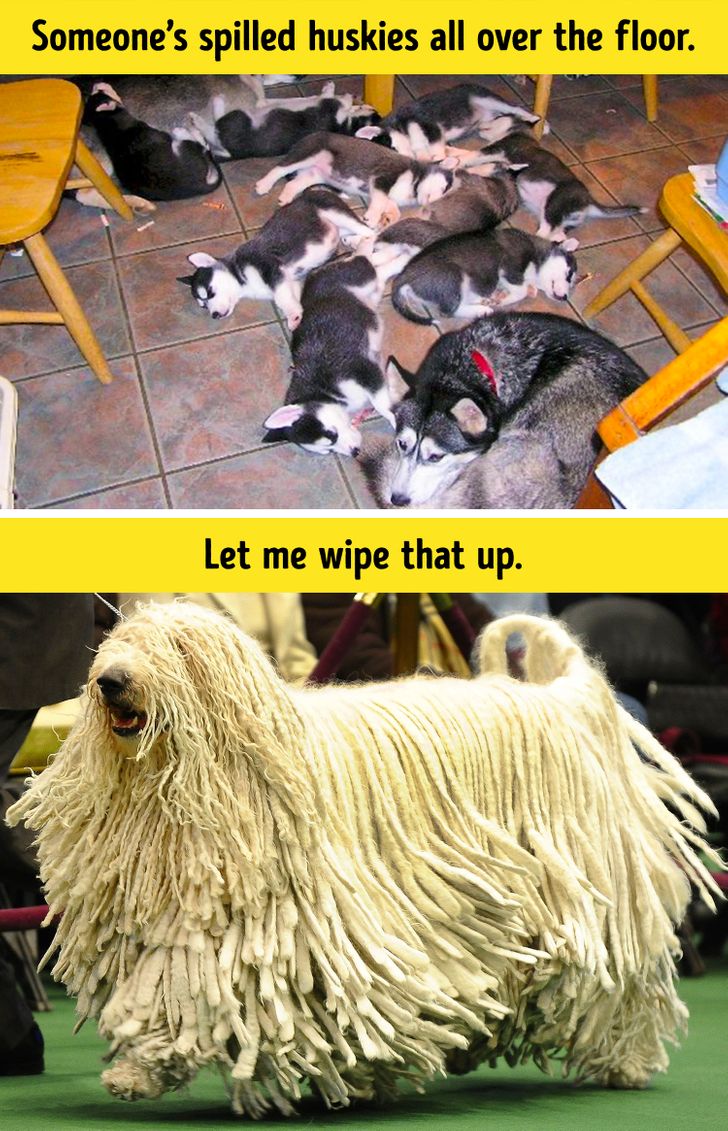 95306056fe8e82a3e898950056