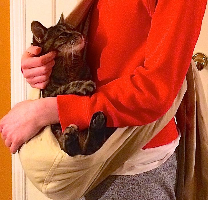 95326b50e4aad8a213cb2e954a