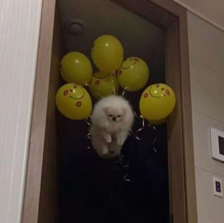 9539f45ba39b5d60974e5b20f9