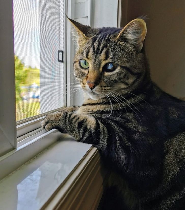 953a435ad985fc185aa8cc25a4