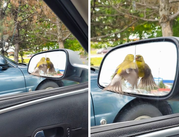 9542975ec99b9e0e97948f374c