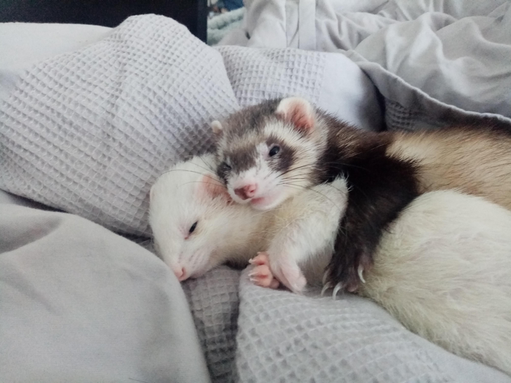 95465a58d7b84a63d938d8129c