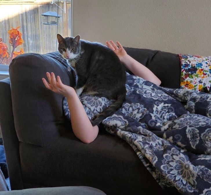 954f17530c9e6bf4f277fdf68a