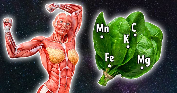 9551445afd87c9982178437363