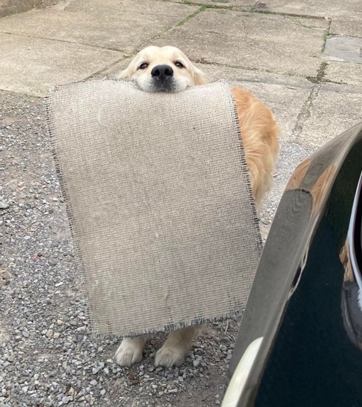 9556ea552eb9569cb607aa6062