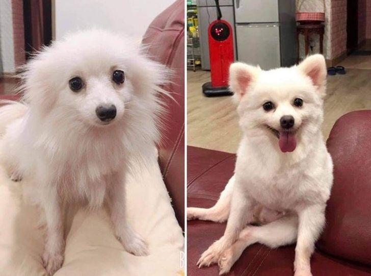 95572856cf8d28fcddef443a75