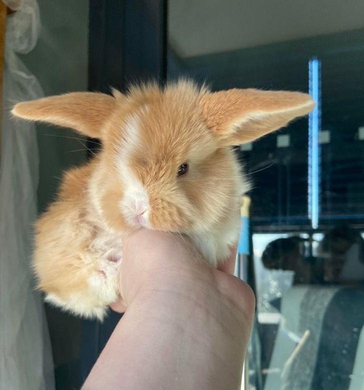 955ba950738146ee802bb456a7