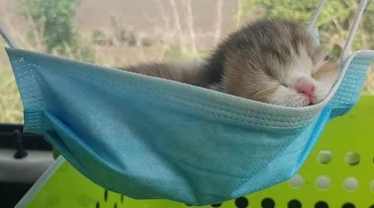 955d0c59c58dd80d67e85cb75d