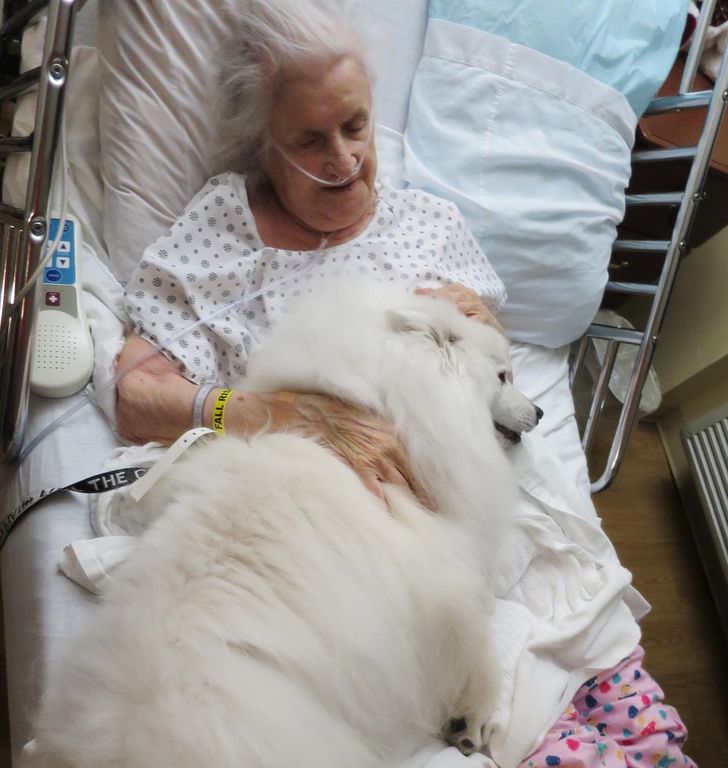 955e955dc296e6552f4042910b