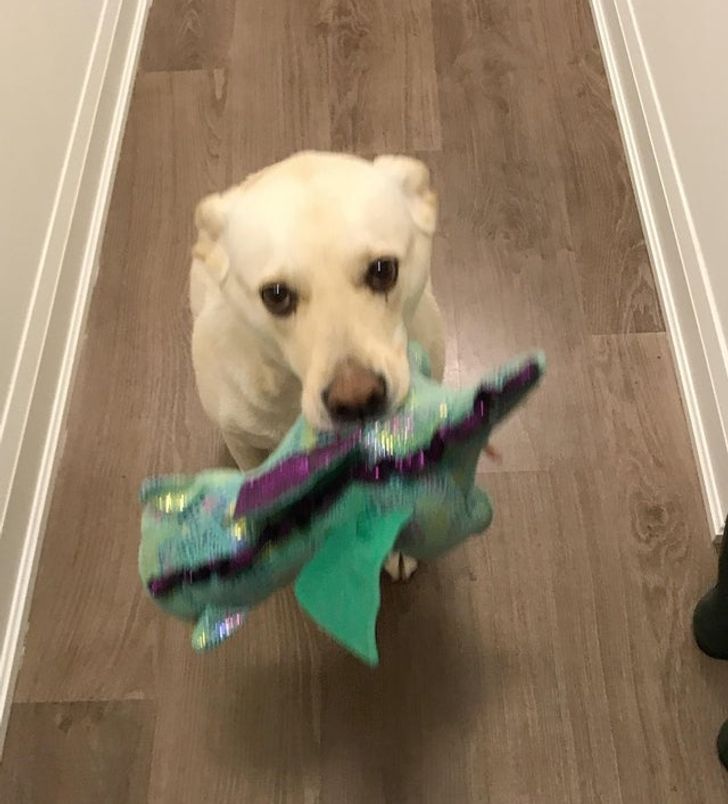 9564f755a4ad82ec64d83d7dc4