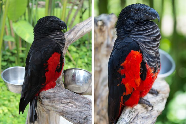 956554522aaac1cbc50818e901