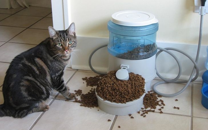 9574915ba89841c165e3dcebe5