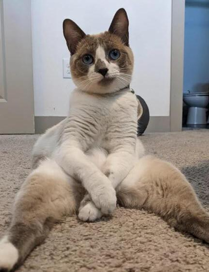 95771d52ab94e980c650359a69