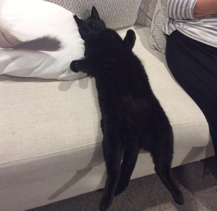 95781c52ed98c76d961a5f8a21