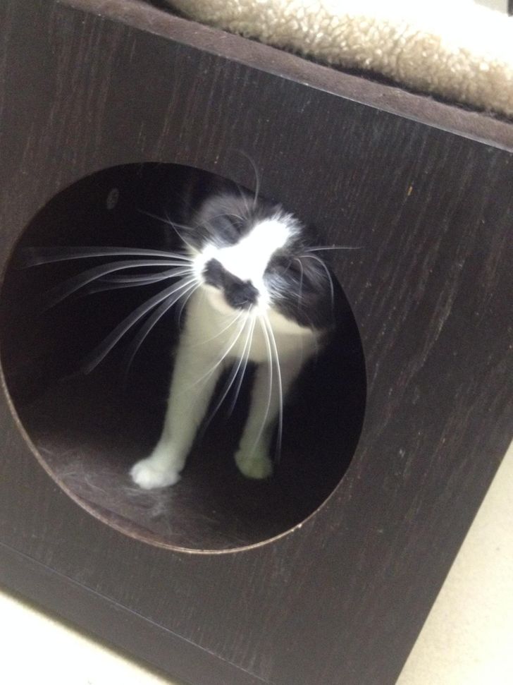 957974543a9fbc63d23604bbc0