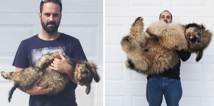 957dd850a490a2295b82edc74e