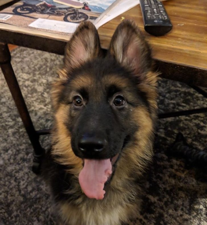 957e1b51c3b0fcba076664934b