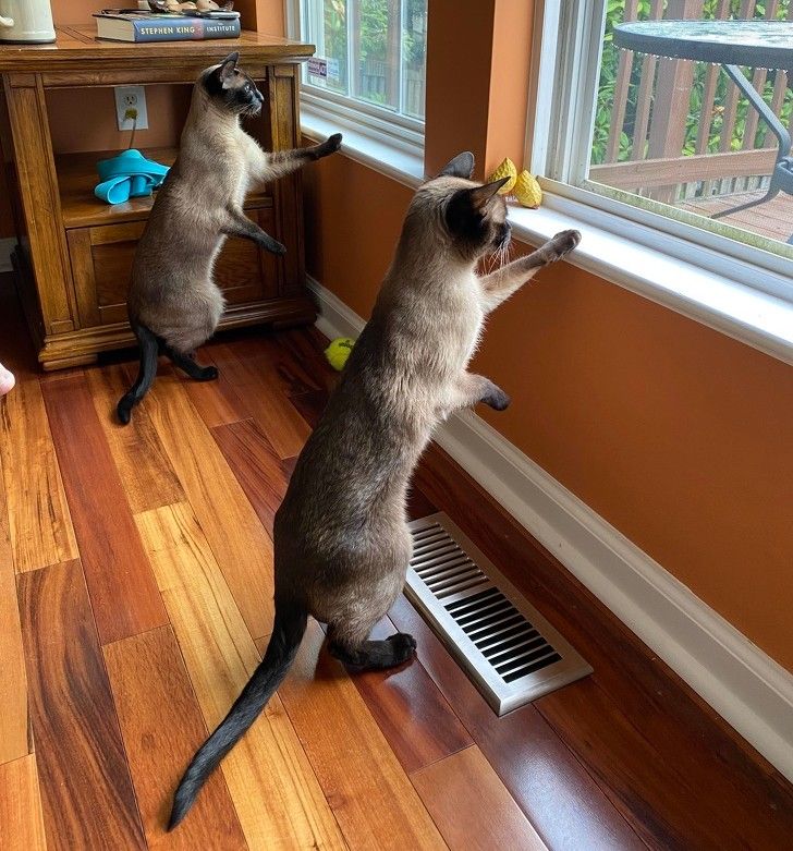 95804755a08022ca5edd570b90