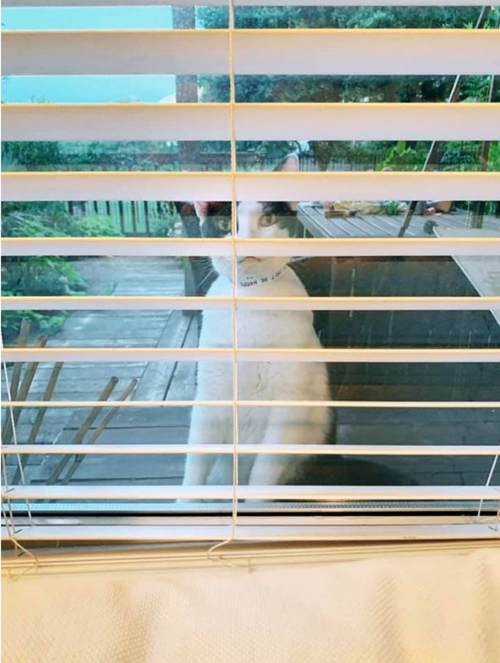 95a0635058b7fb6ae824e8894a