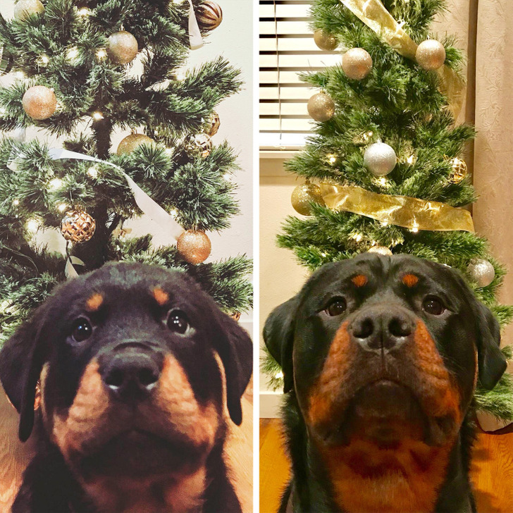 95a9545f0dac231ba067329f11