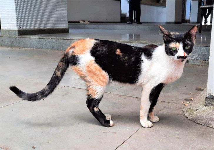 95ac7f5a7fba30bbb9ea562334 95ac7f5a7fba30bbb9ea562334