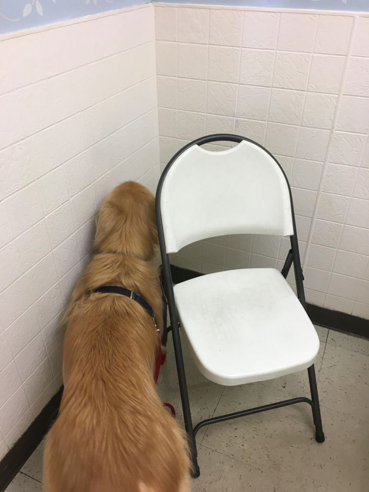 95bb645519bcfc3b8dd8b11d80