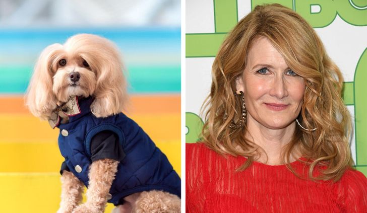 95bf0254dabf631af772b4bb55