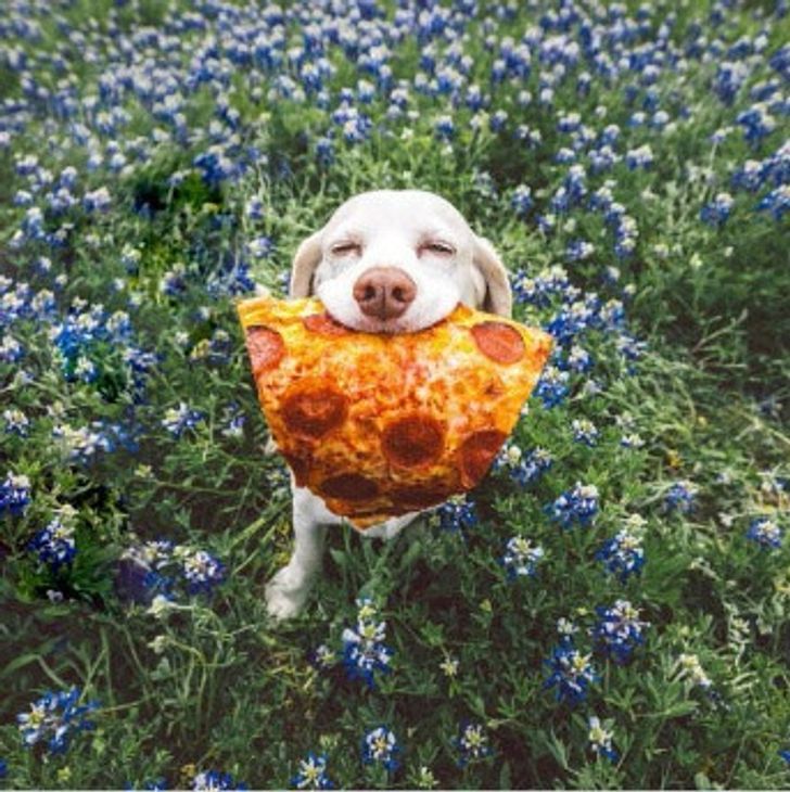 95c32c51e8ac9fc123943ae015