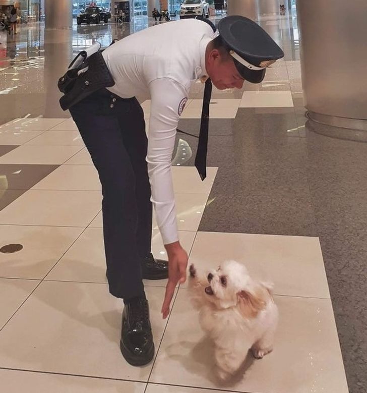 95d3095e738020c94e493f1fa9