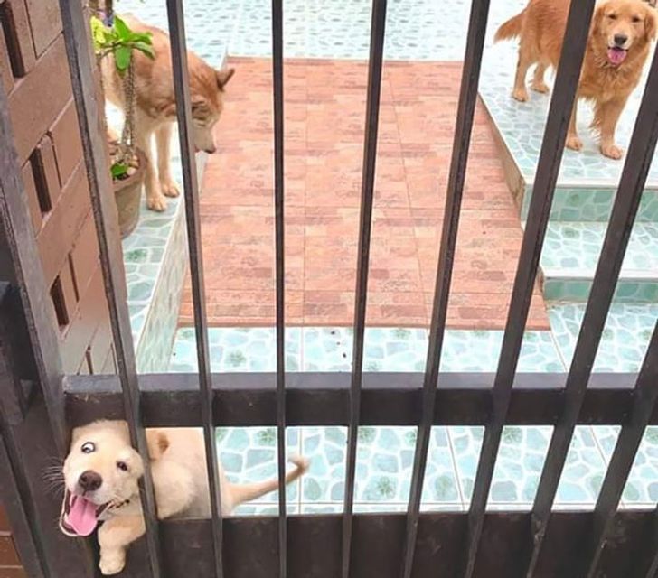 95da6551ef954eb5e9e72d46a4