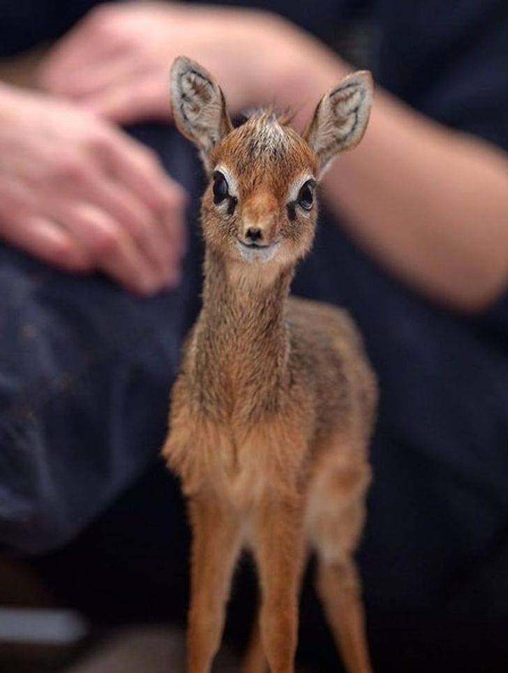 95da6c5da4bc50f88da3361287