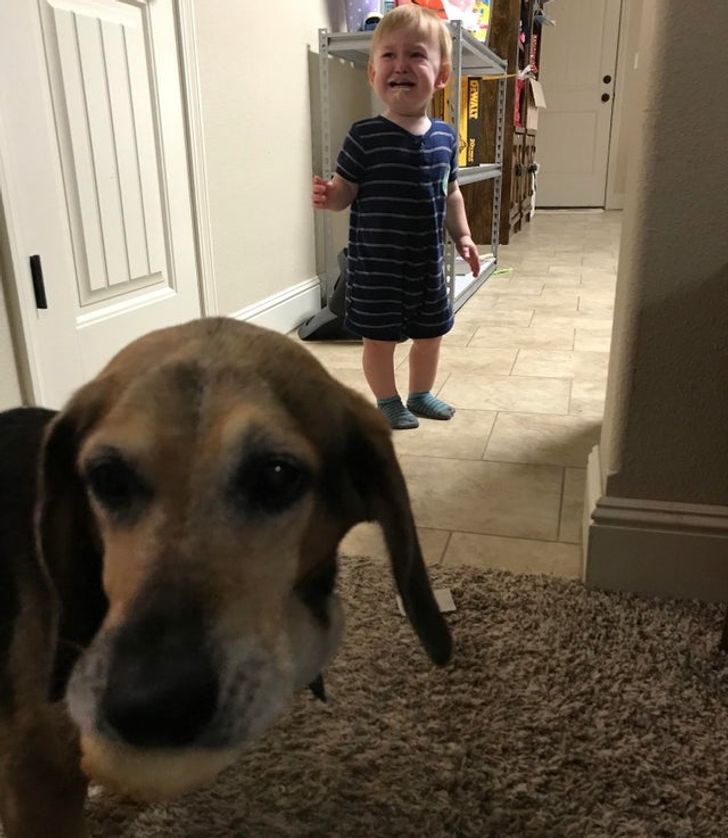 95de365a4b92f94ebdd8676c1a