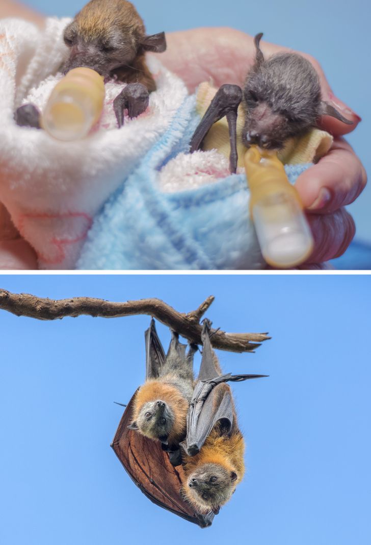 95de655ca99e77dee7313a2a05