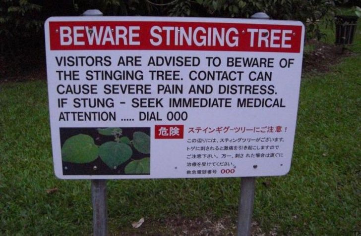 95e39a575bb8f542e0c9305a03