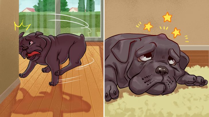 95e5165476abf5609a889d48ef