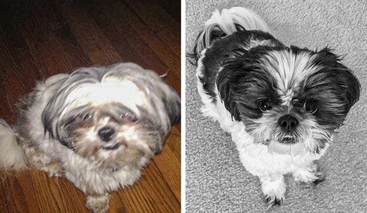 95eabb54bbabe72633442ac926 95eabb54bbabe72633442ac926