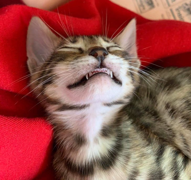 95eb23509dab4fb3263ff5a204