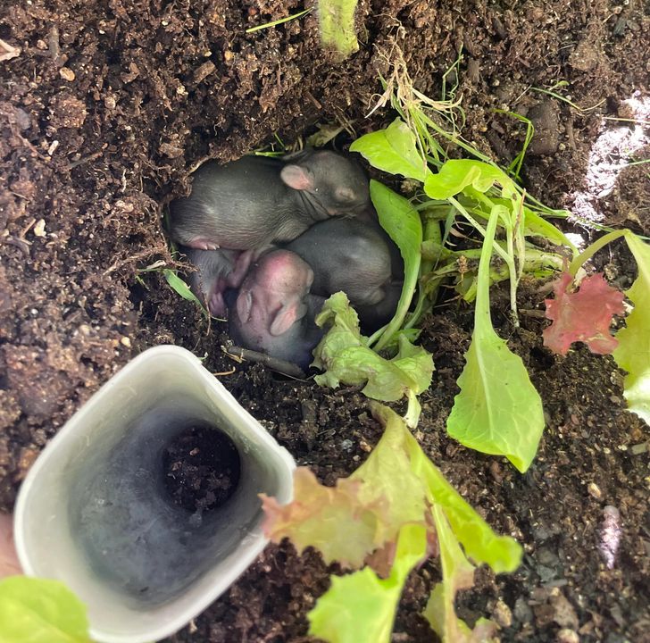 95ee1b5650bfd9c1571653574d