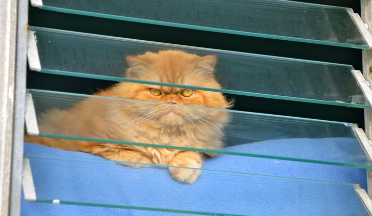 95f8d85ae0b471660df499ba29