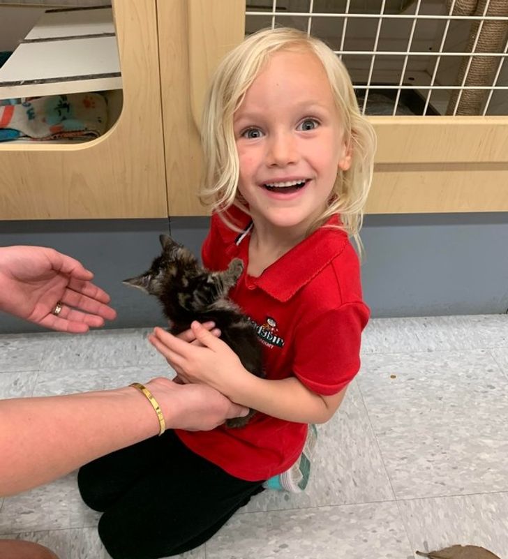 95fc6351b59de6af35e24b7c4e